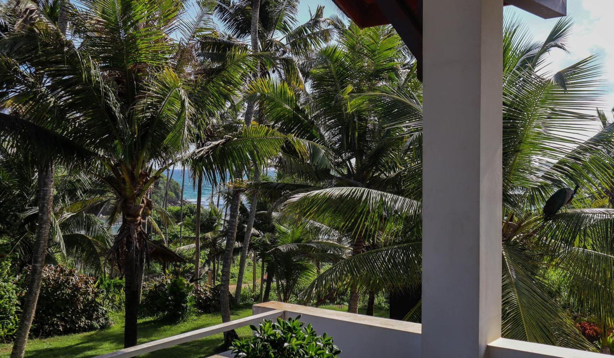 Hotel Singhe House Dikwella Exterior foto