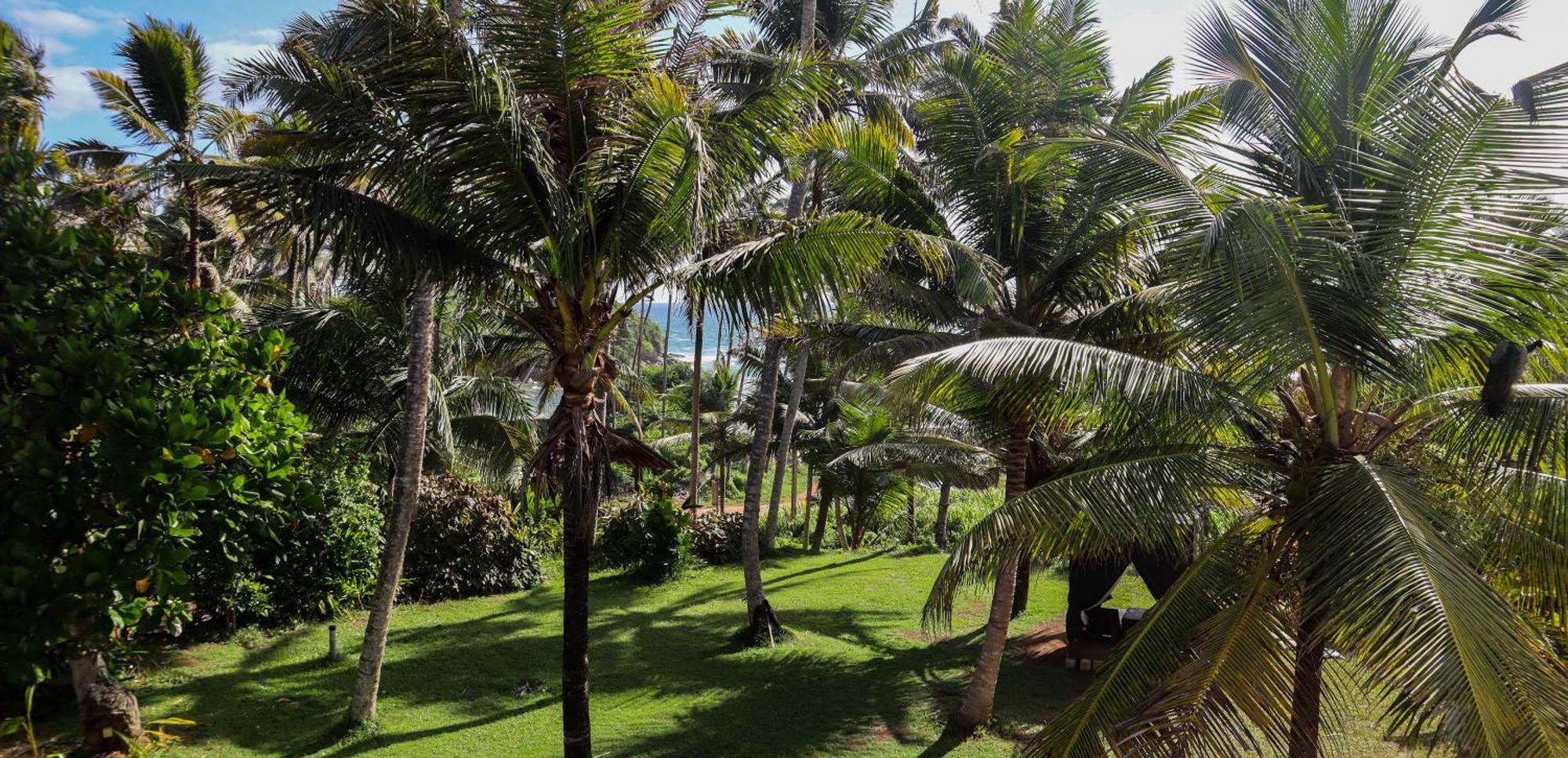 Hotel Singhe House Dikwella Exterior foto