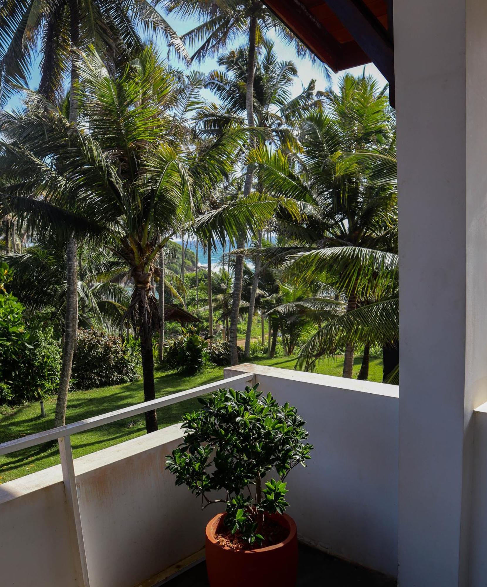 Hotel Singhe House Dikwella Exterior foto