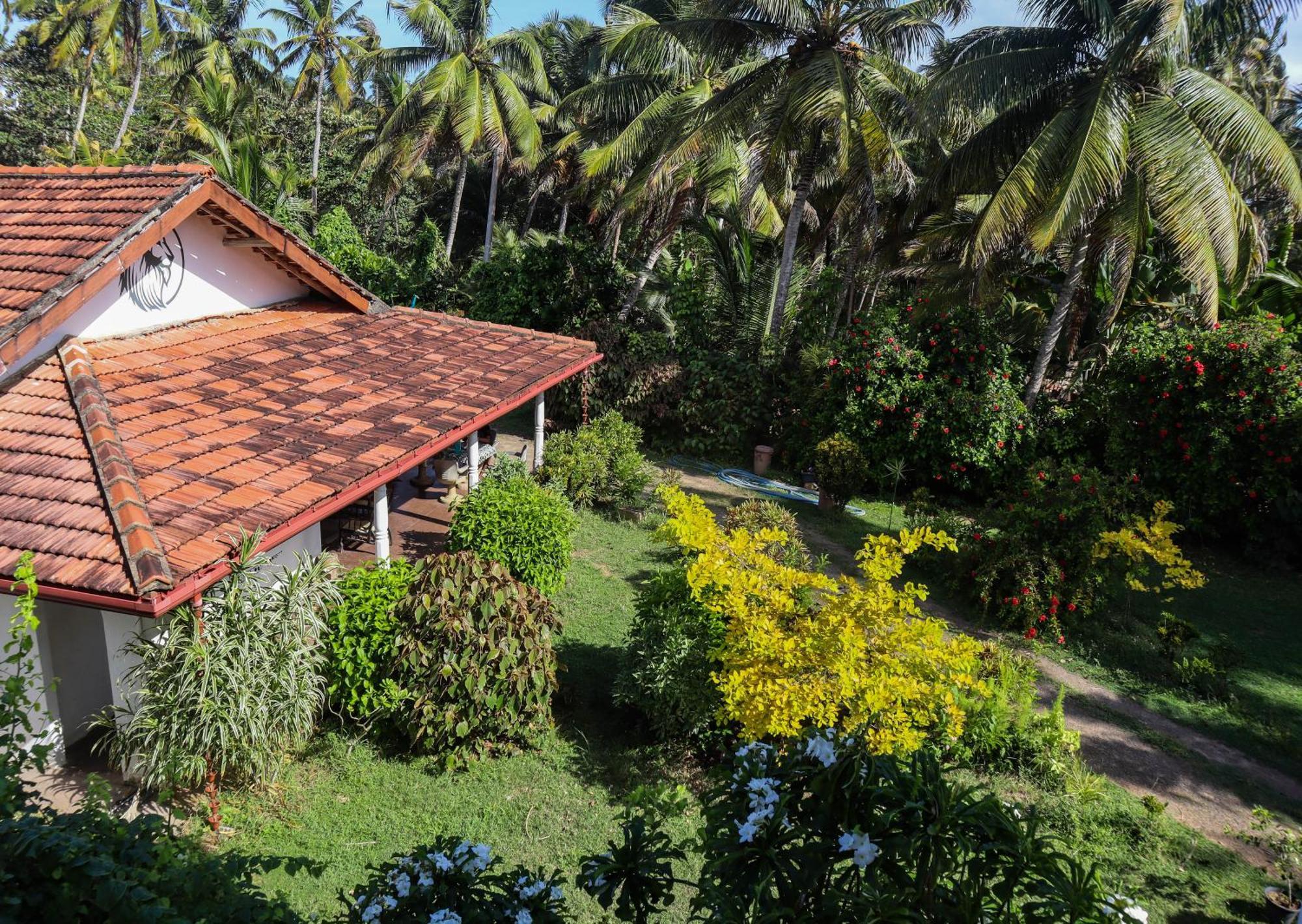 Hotel Singhe House Dikwella Exterior foto