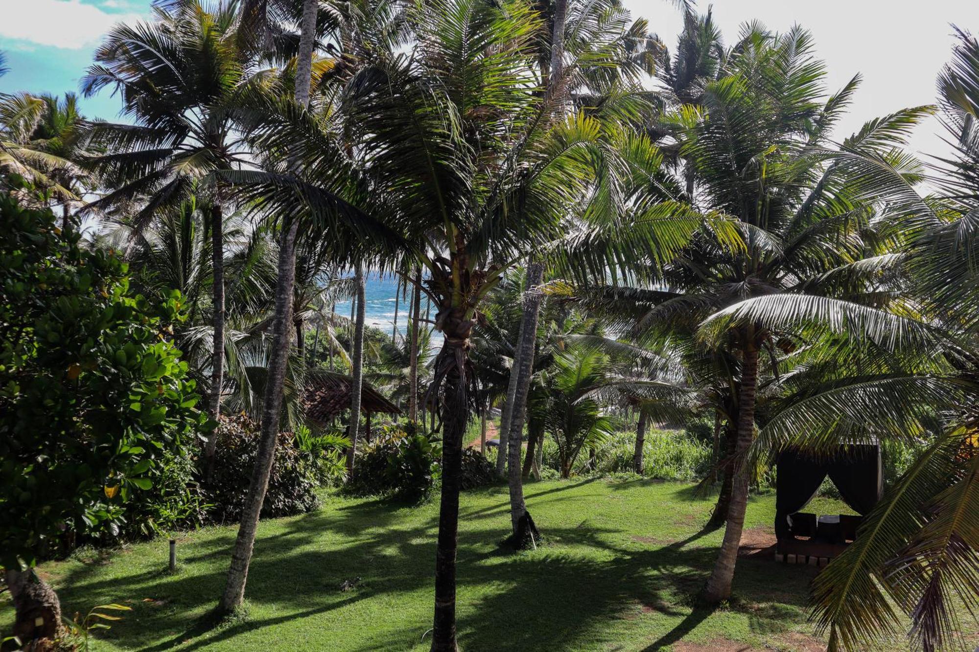 Hotel Singhe House Dikwella Exterior foto